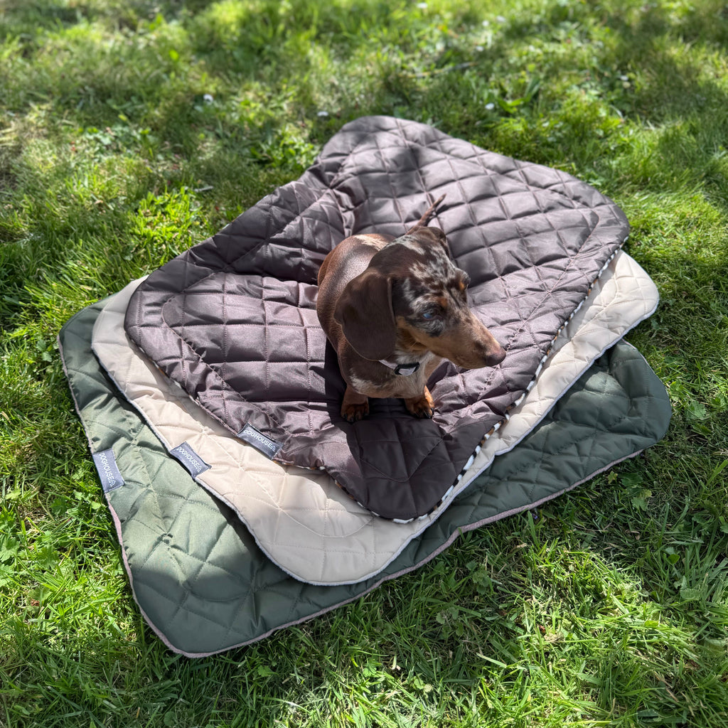 Pawliora Waterproof Pet Settle Mat