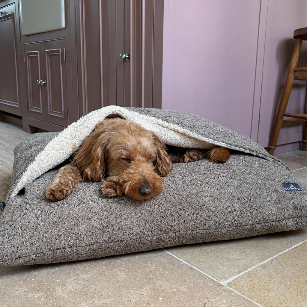 Pawliora Burrow Bed for Dogs