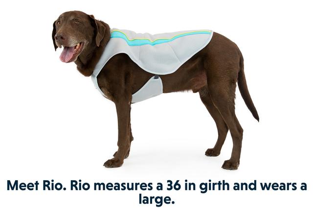 Ruffwear Swamp Cooler Cooling Vest for Dogs