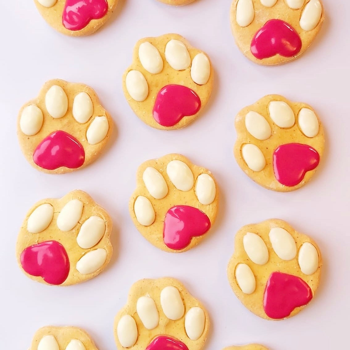 Paw Print Biscuits for Dogs