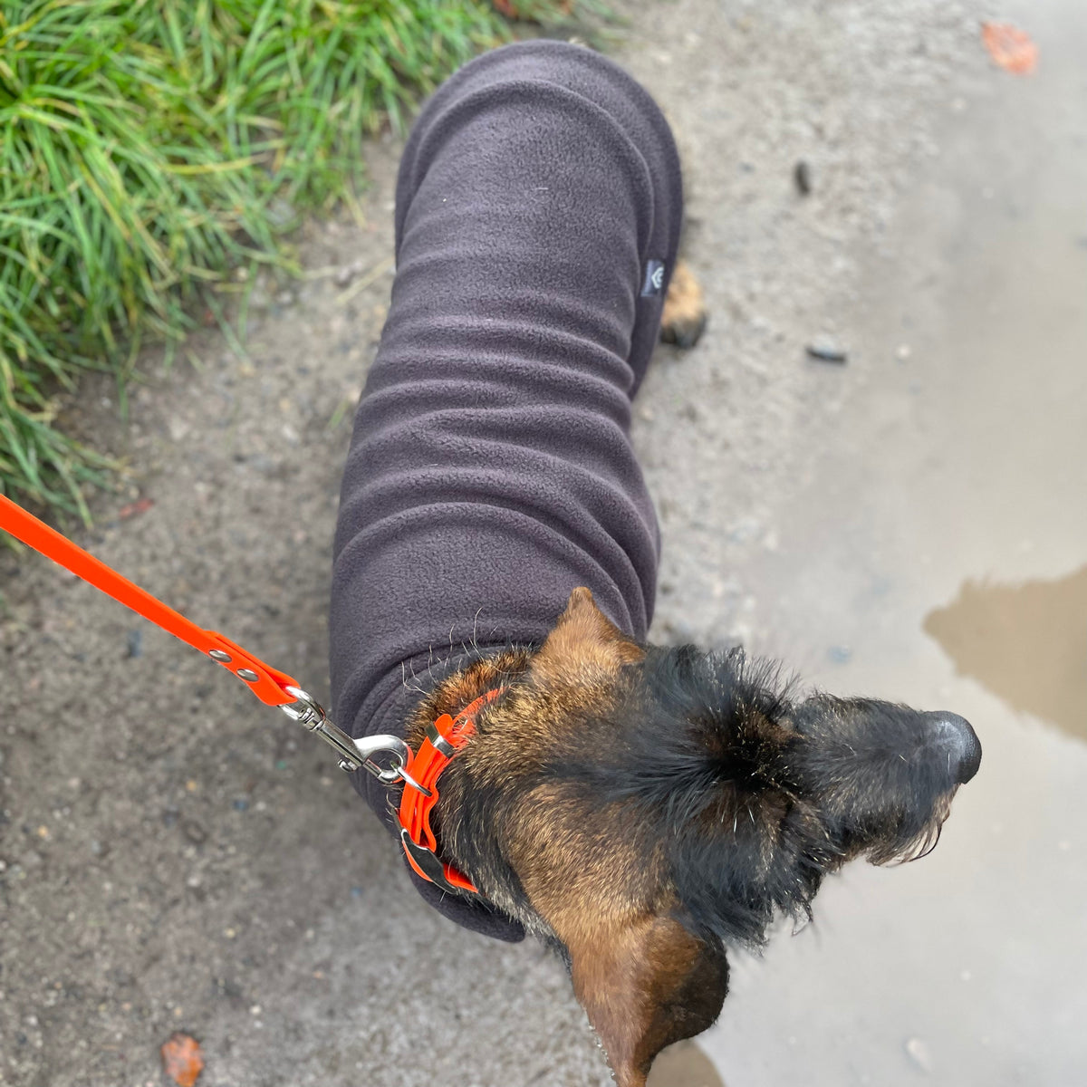 Dog Fleece Jumper with Waterproof Belly Panel