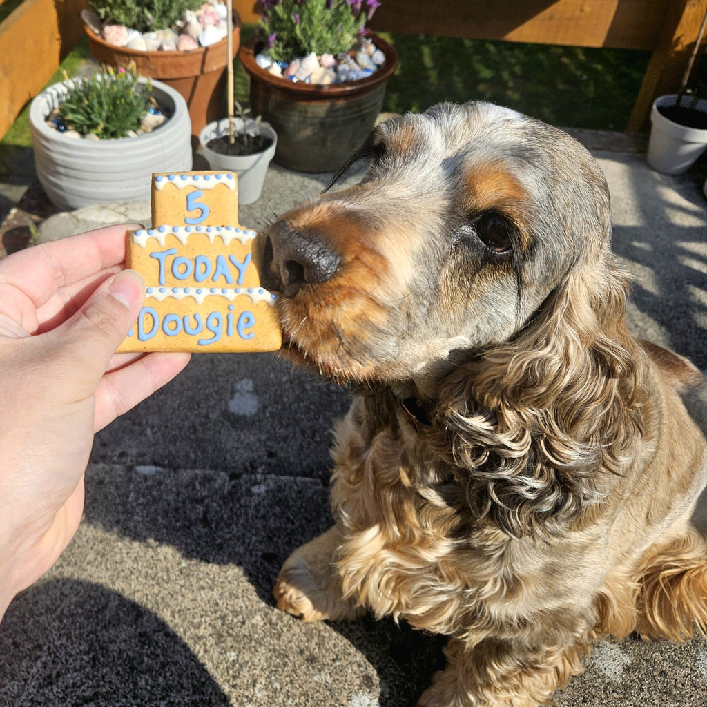 Personalised Three Tier Birthday Biscuit for Dogs