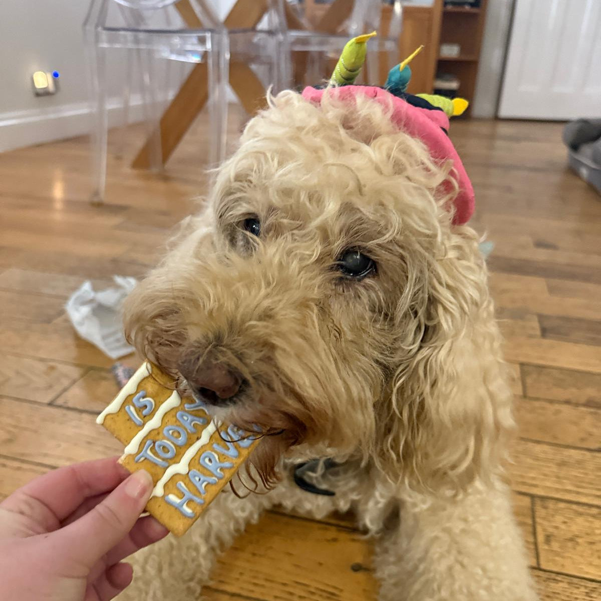 Personalised Three Tier Birthday Biscuit for Dogs