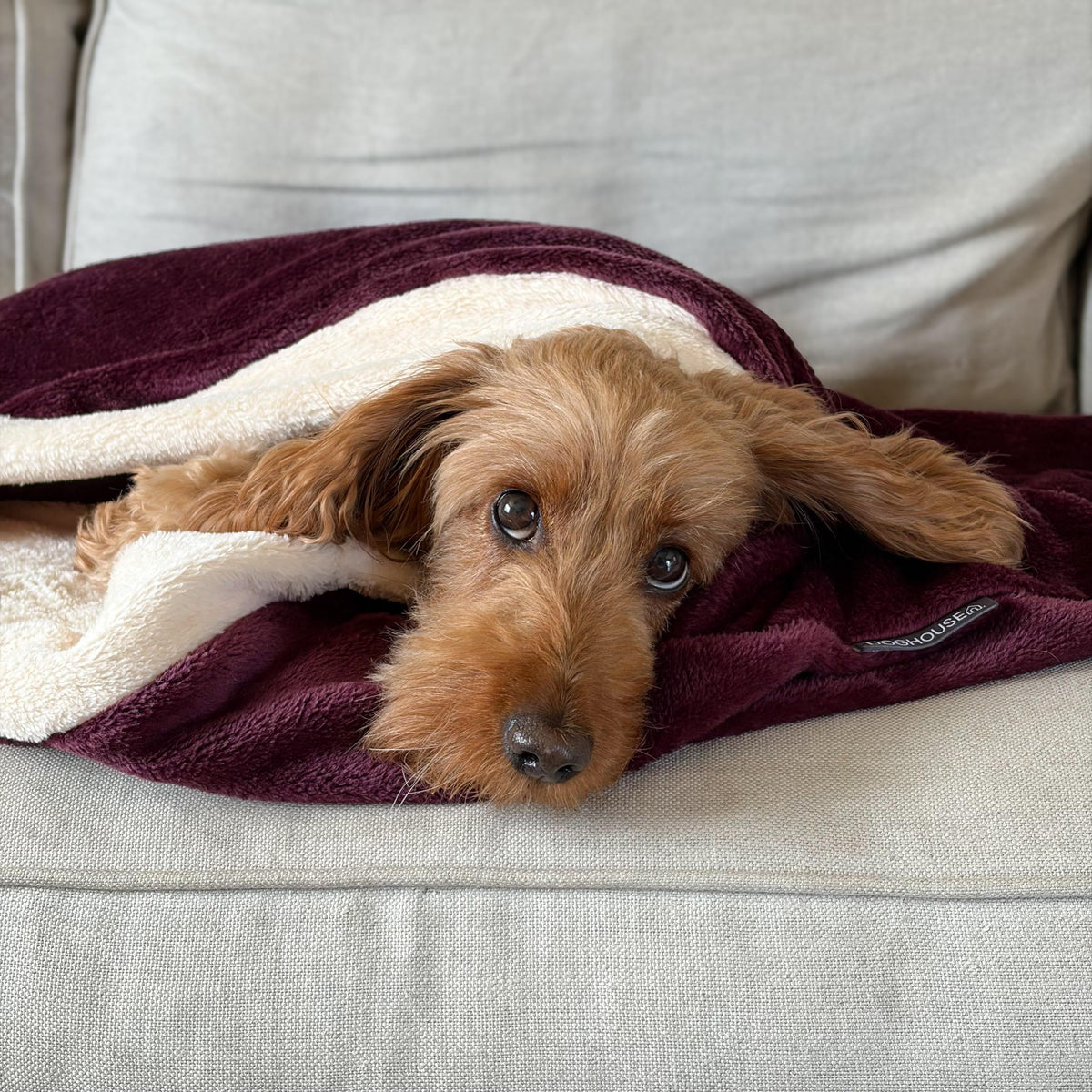 Pawliora Snuggle Sacks