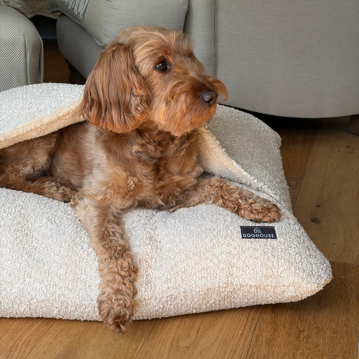 Pawliora Burrow Bed for Dogs