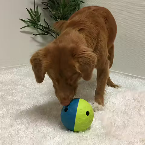 Nina Ottosson Treat Tumble Ball Toy