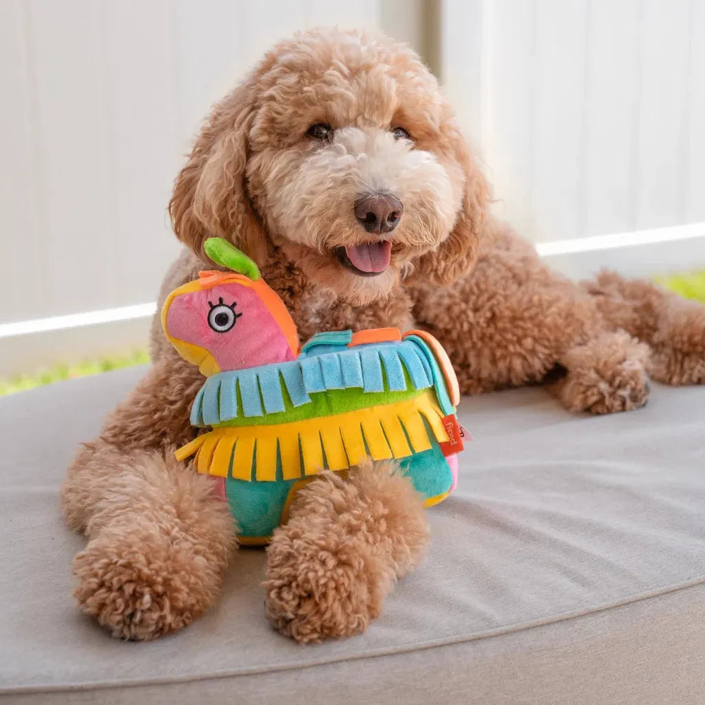 P.L.A.Y Fiesta Fetch Pinata Dog Toy