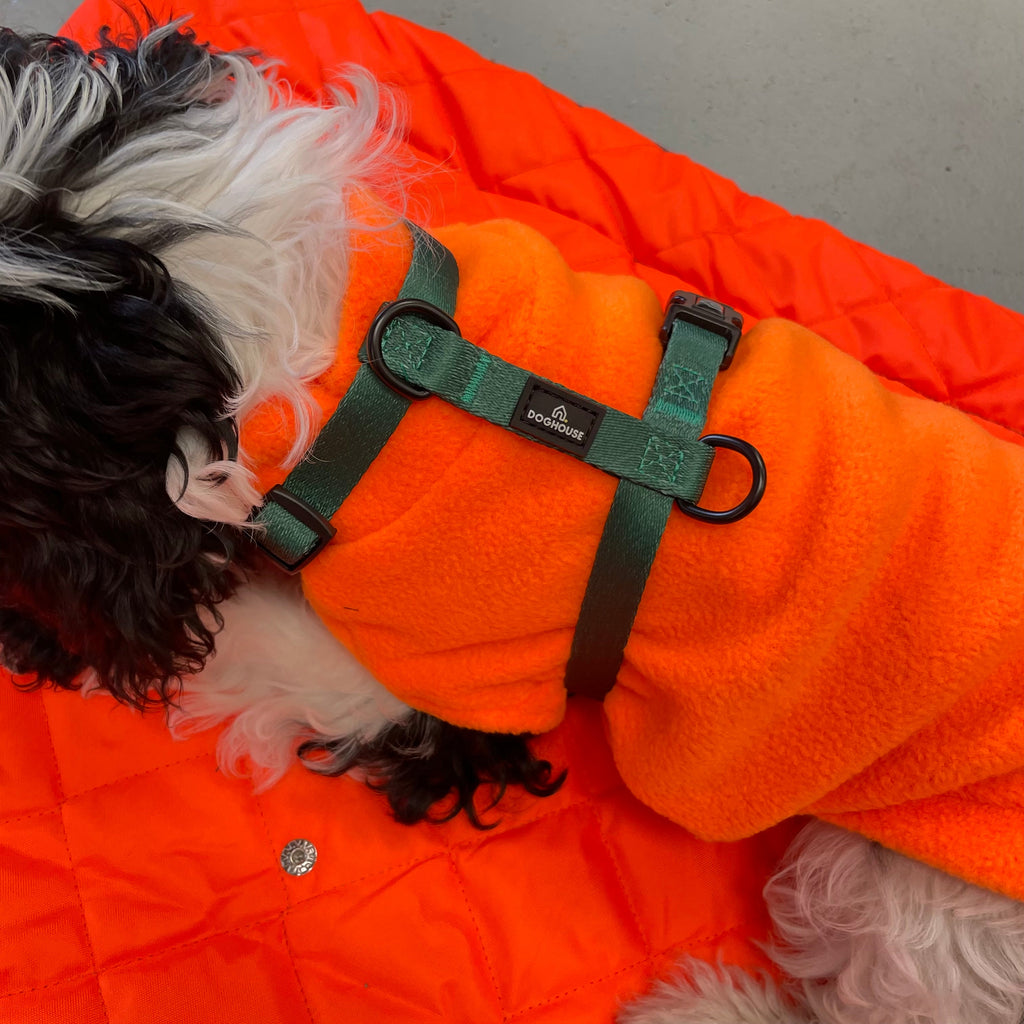 Pawliora Everyday Essential Harness in Forest Green