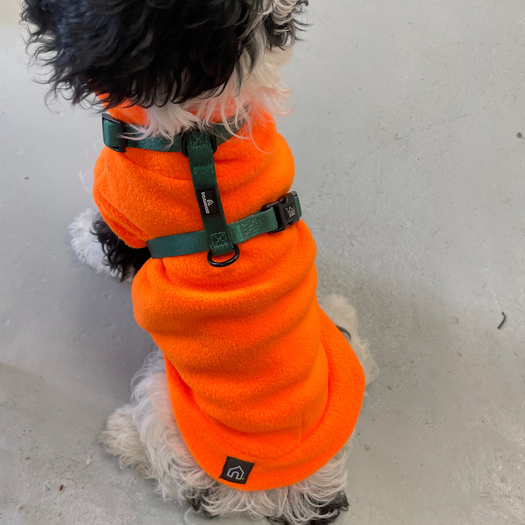 Pawliora Everyday Essential Harness in Forest Green