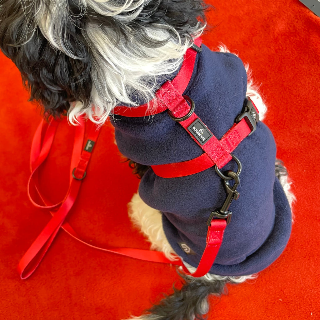 Pawliora Everyday Essential Harness in Red