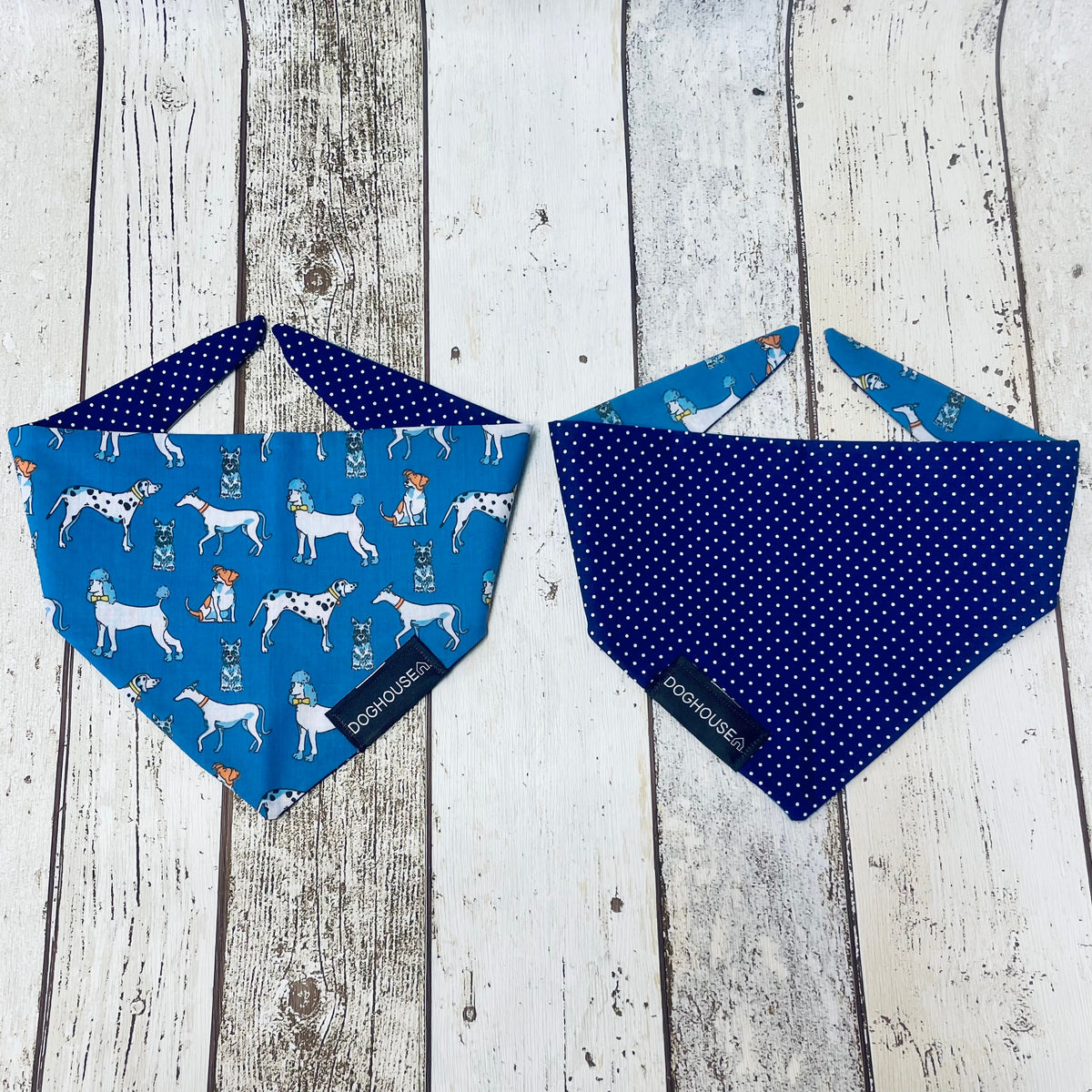 Blue Dog & Navy Spot Dog Bandana