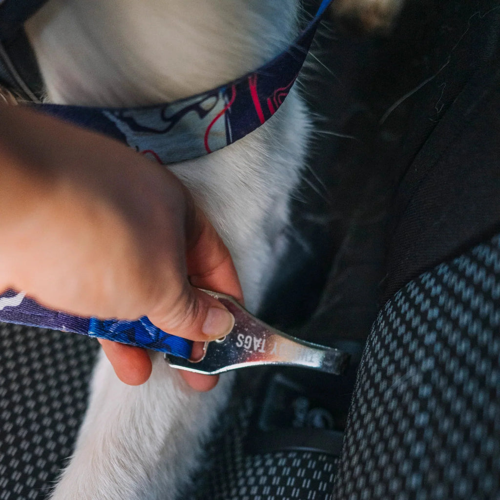 Twiggy Tags ISOFIX Dog Seat Belt
