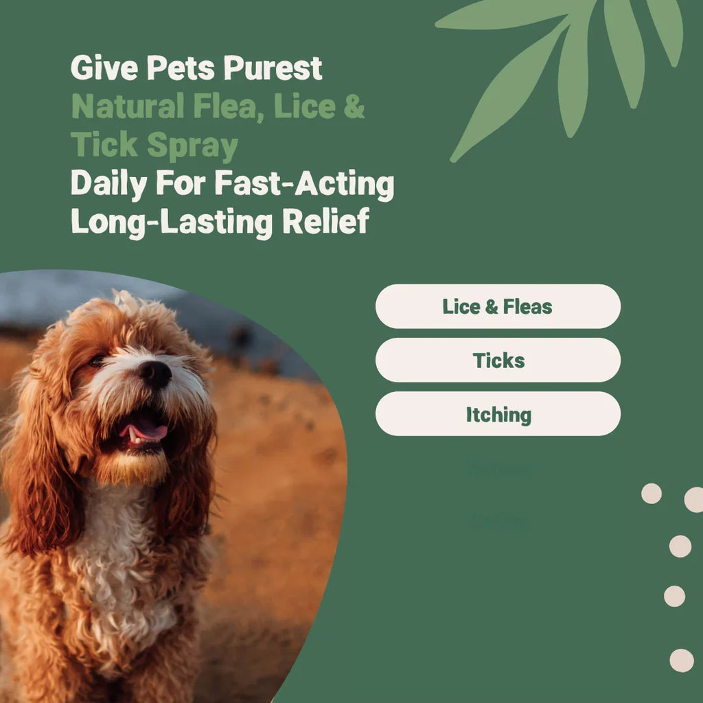 Pets Purest Flea Lice and Tick Spray