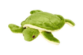 Fluff & Tuff Shelley Turtle