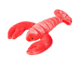 Fluff & Tuff Manny Lobster
