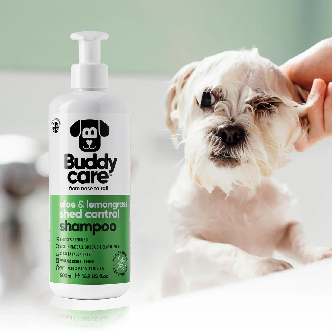 Buddycare Aloe & Lemongrass Shed Control Dog Shampoo