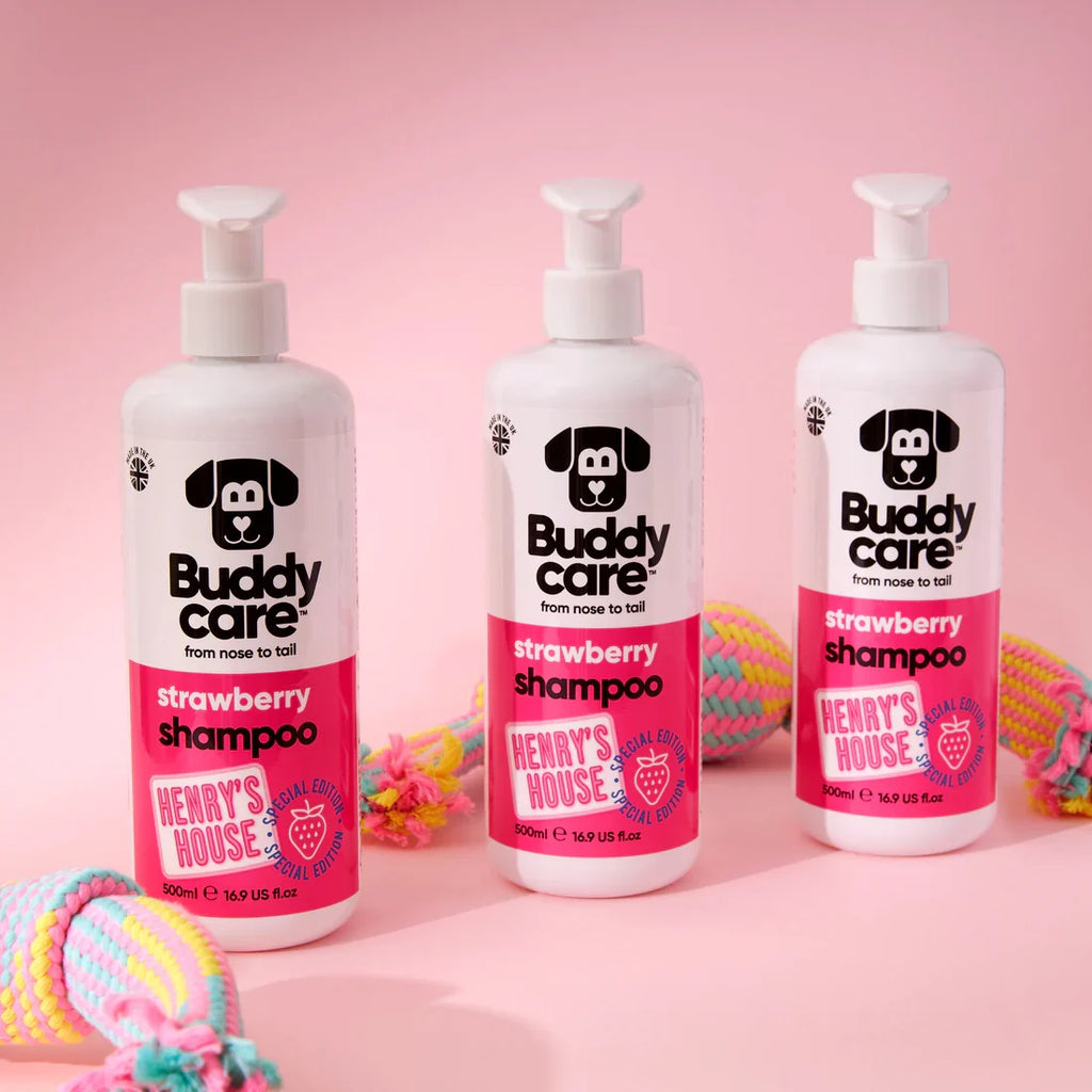 Buddycare Special Edition Strawberry Shampoo