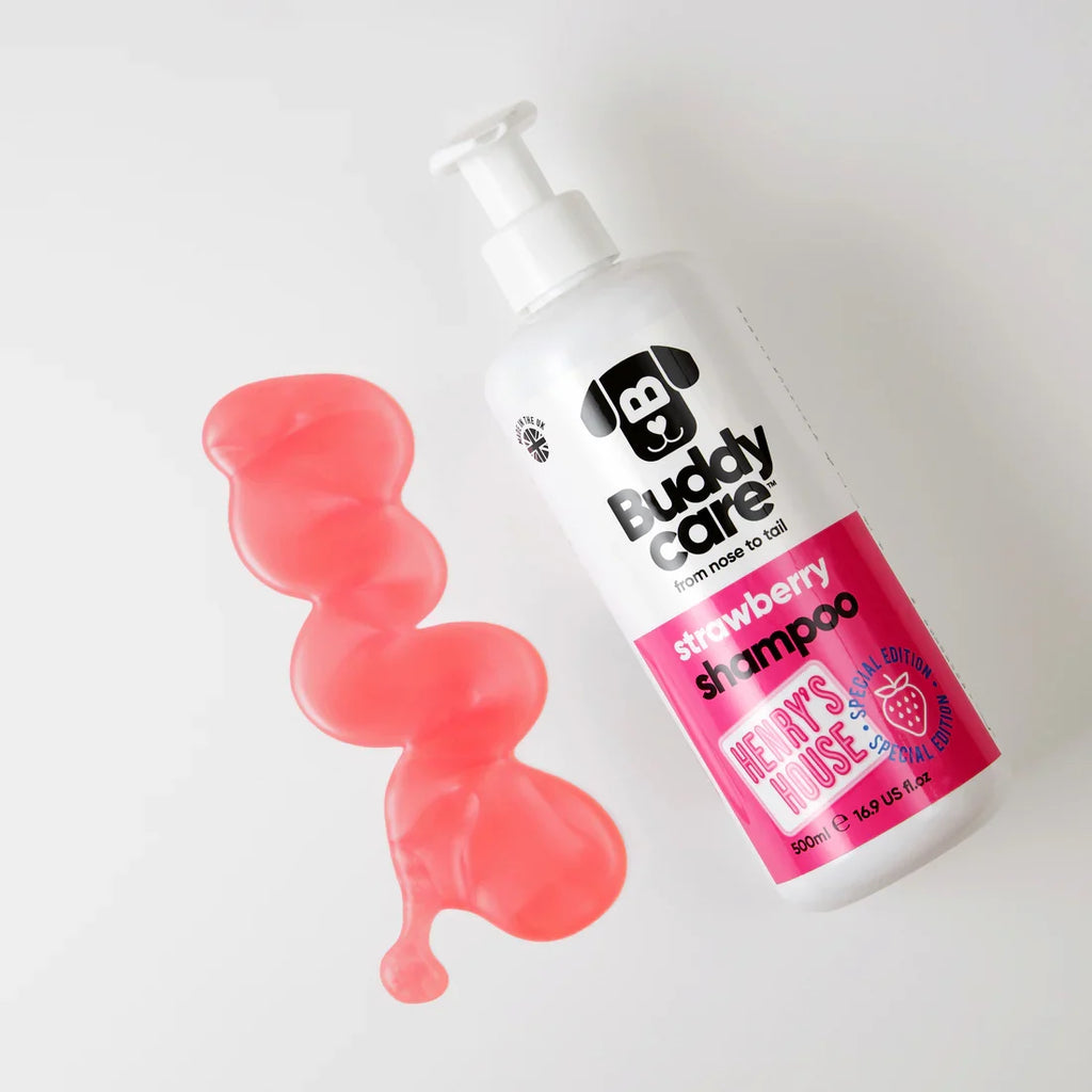 Buddycare Special Edition Strawberry Shampoo