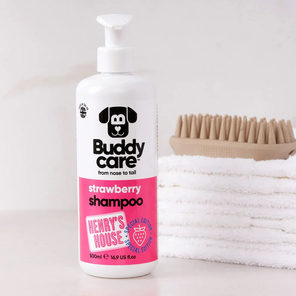 Buddycare Special Edition Strawberry Shampoo