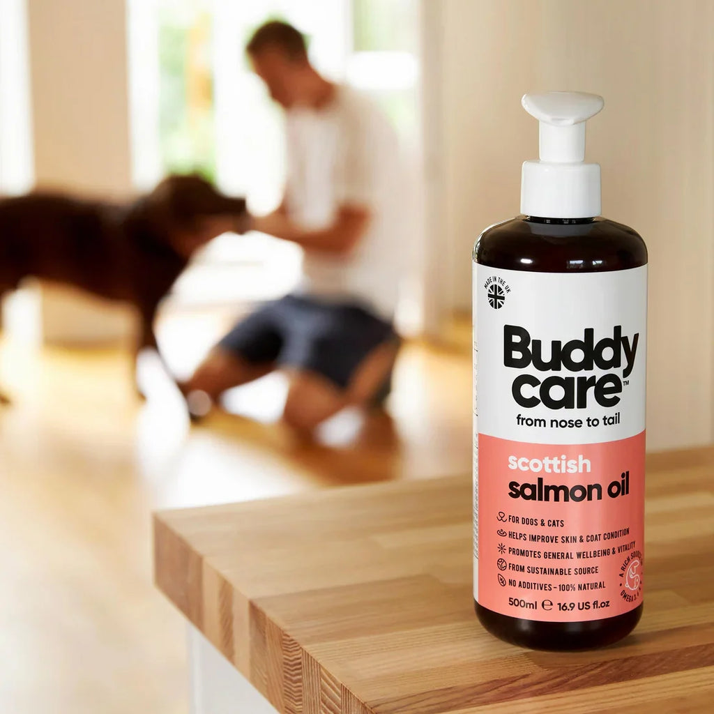 Buddycare Salmon Oil for Dogs