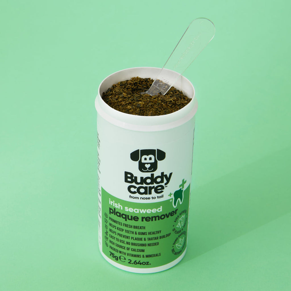 Buddycare Irish Seaweed Plaque Remover