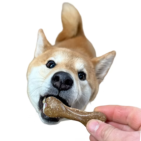 Miro Bedtime Biscuit Veggie Bone