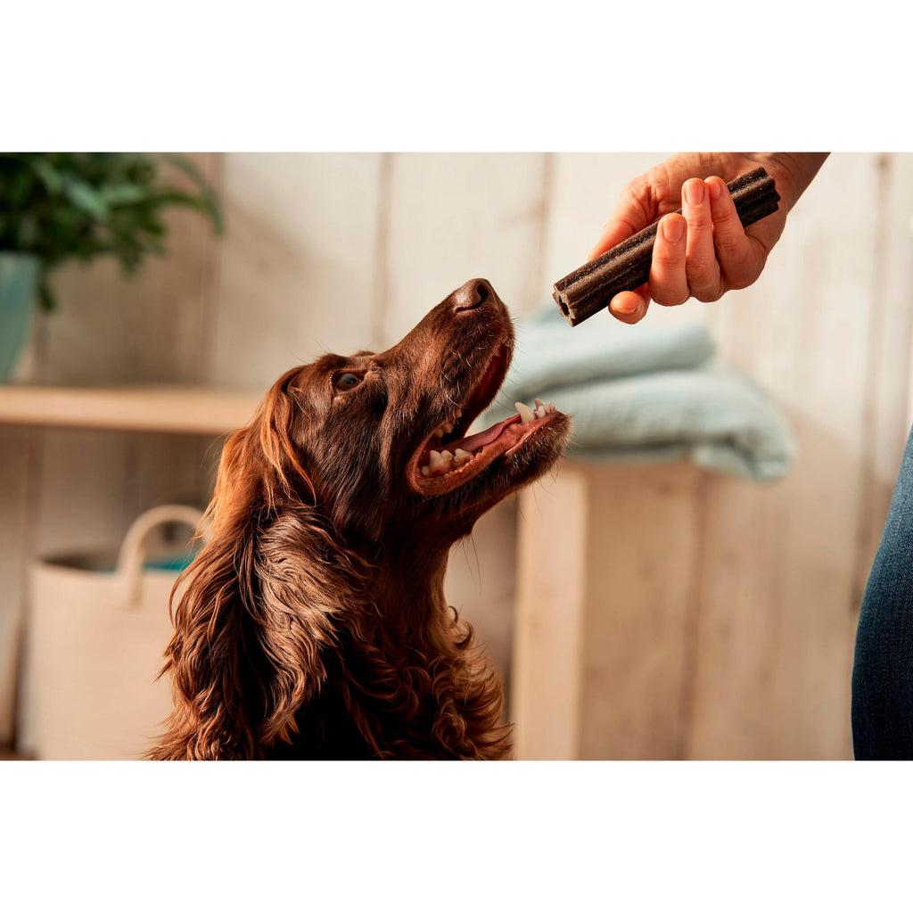 Forthglade Calming Dental Sticks