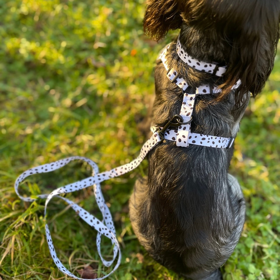 Pawliora Everyday Comfort Harness in Dalmatian Spot