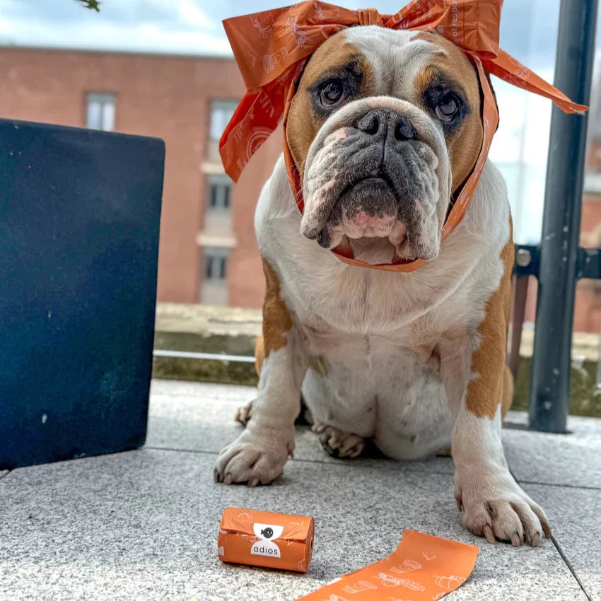 Adios Plastic Limited Edition Autumn Compostable Poop Bag