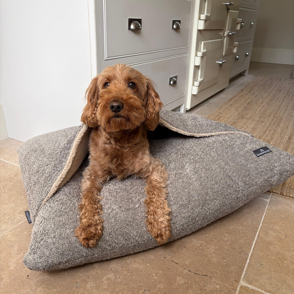 Pawliora Burrow Bed for Dogs