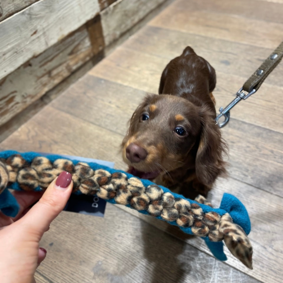 Pawliora Play and Tug Fleece Toy