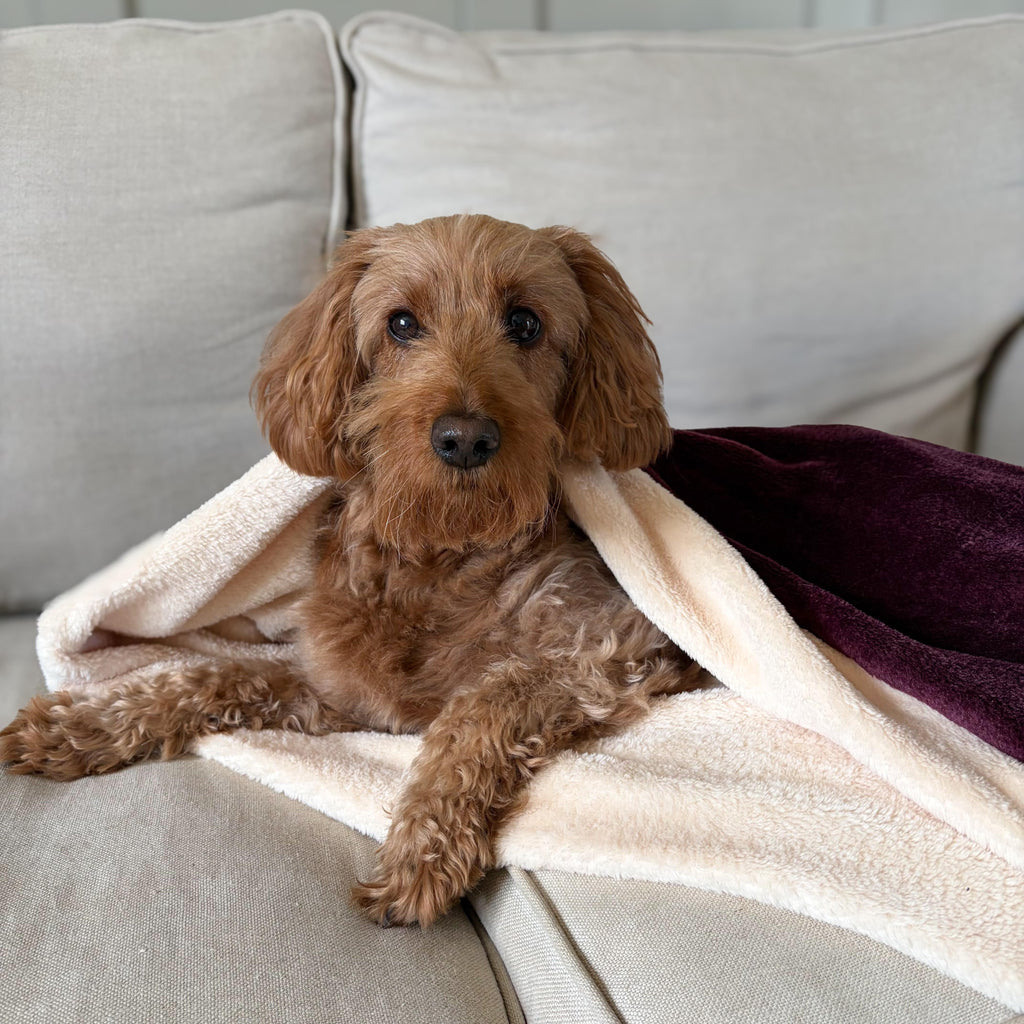 Pawliora Snuggle Sacks