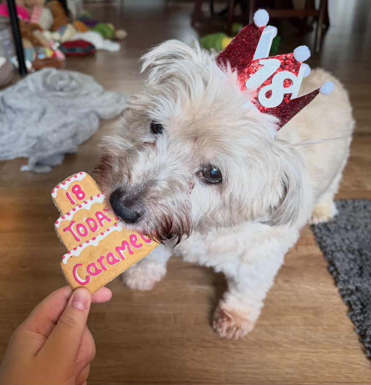 Personalised Three Tier Birthday Biscuit for Dogs