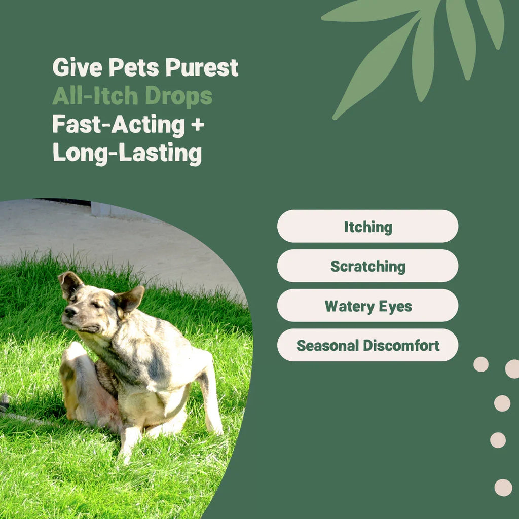 Pets Purest Allergy & Itch Drops