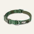 Twiggy Tags Apex Collar in Nomad