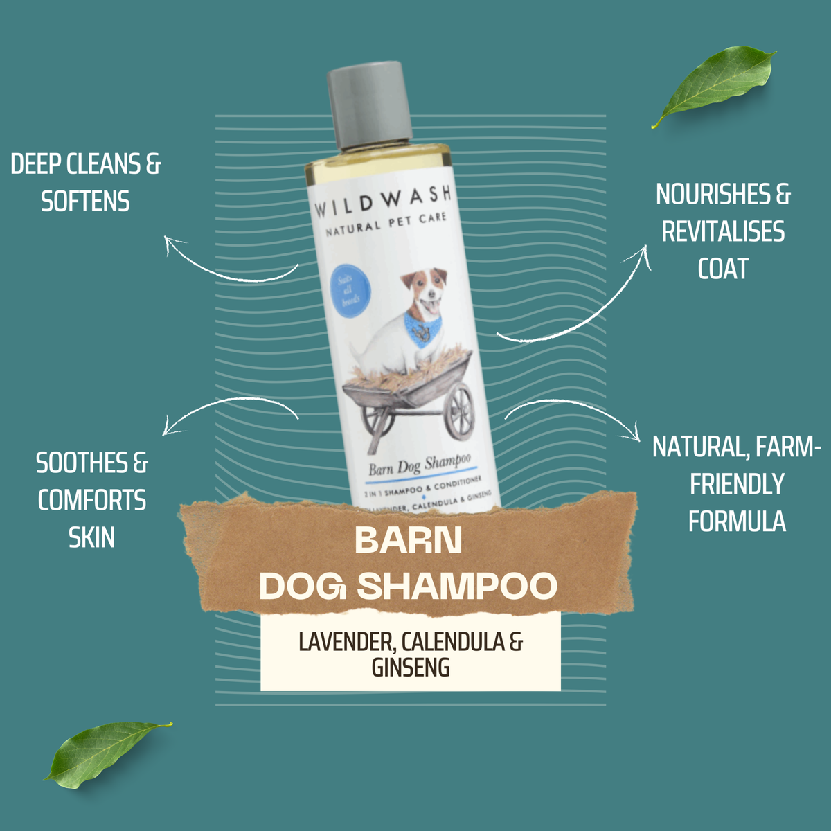WildWash Yard Dog 2 in 1 Shampoo and Conditioner