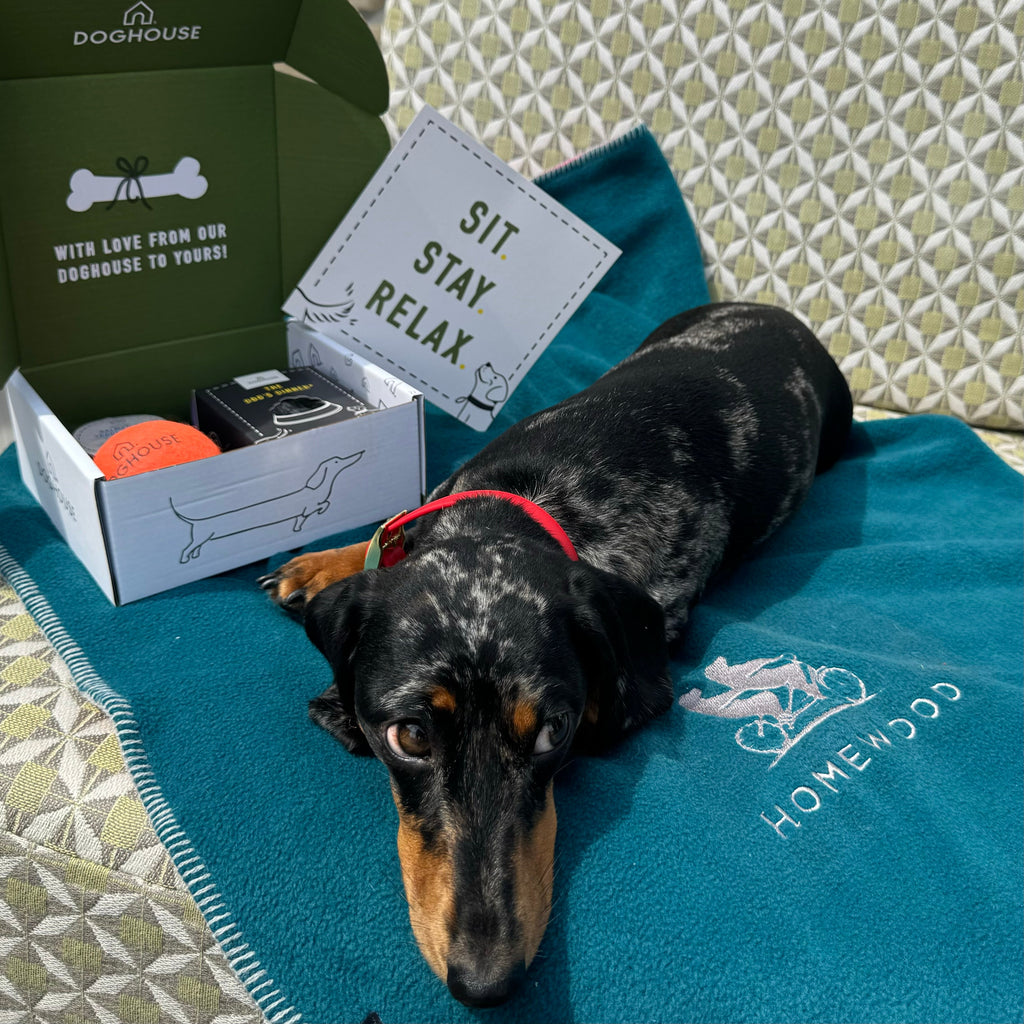 Personalised Dog Beds & Blankets for Dog Friendly Hotels