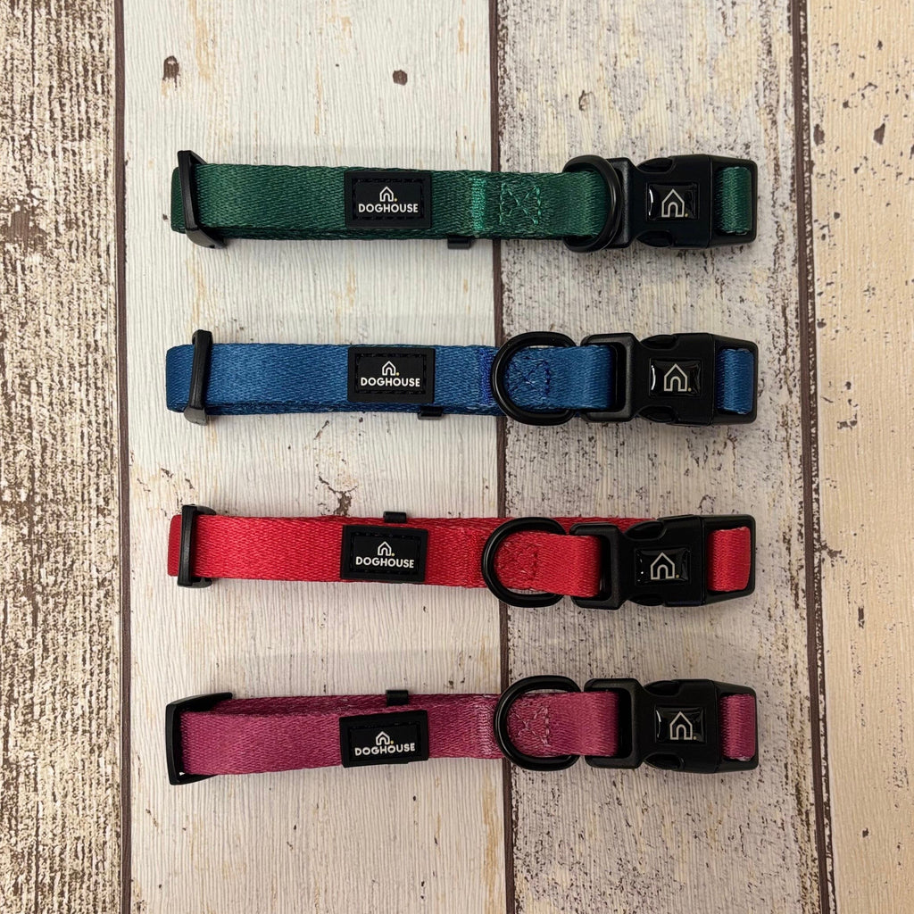 Pawliora Everyday Essential Collar in Red
