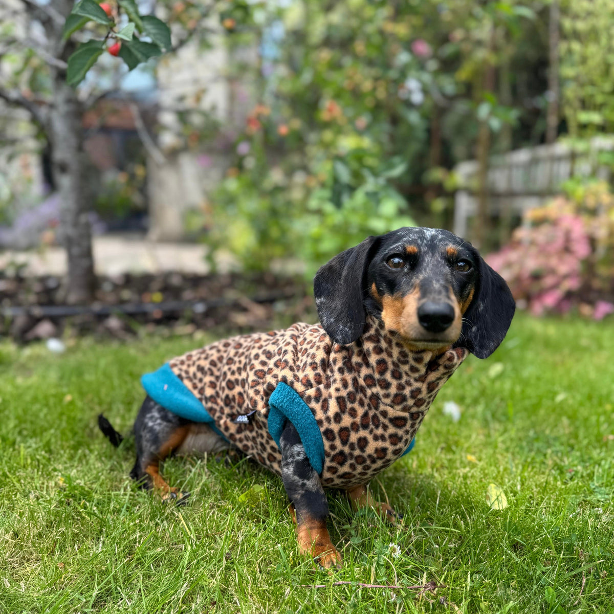 Dachshund Wild Animal Print Fleece Jumper
