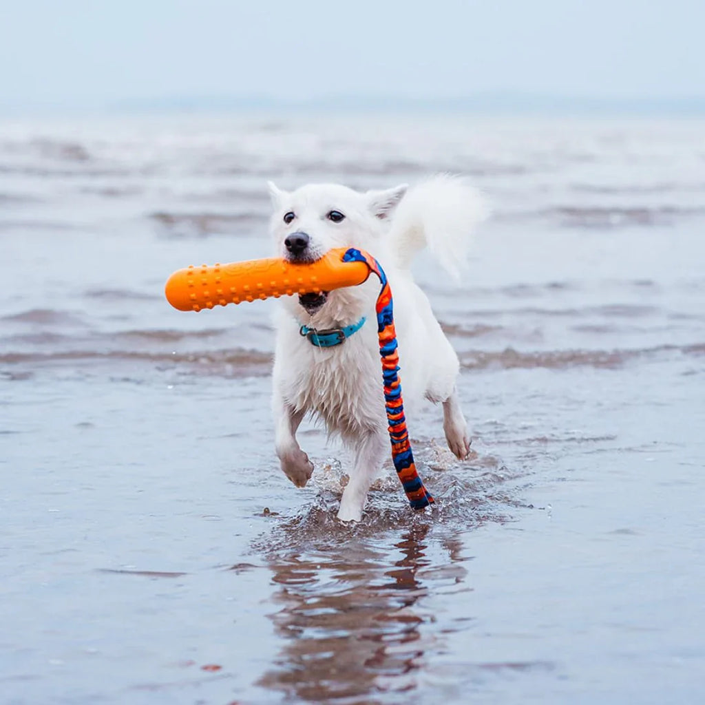 Bob the 3-in-1 Dummy Training Toy by Tug-e-Nuff
