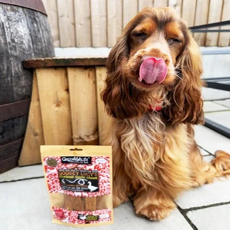 Green & Wilds Goosey Lucy's Goose Chew 100g