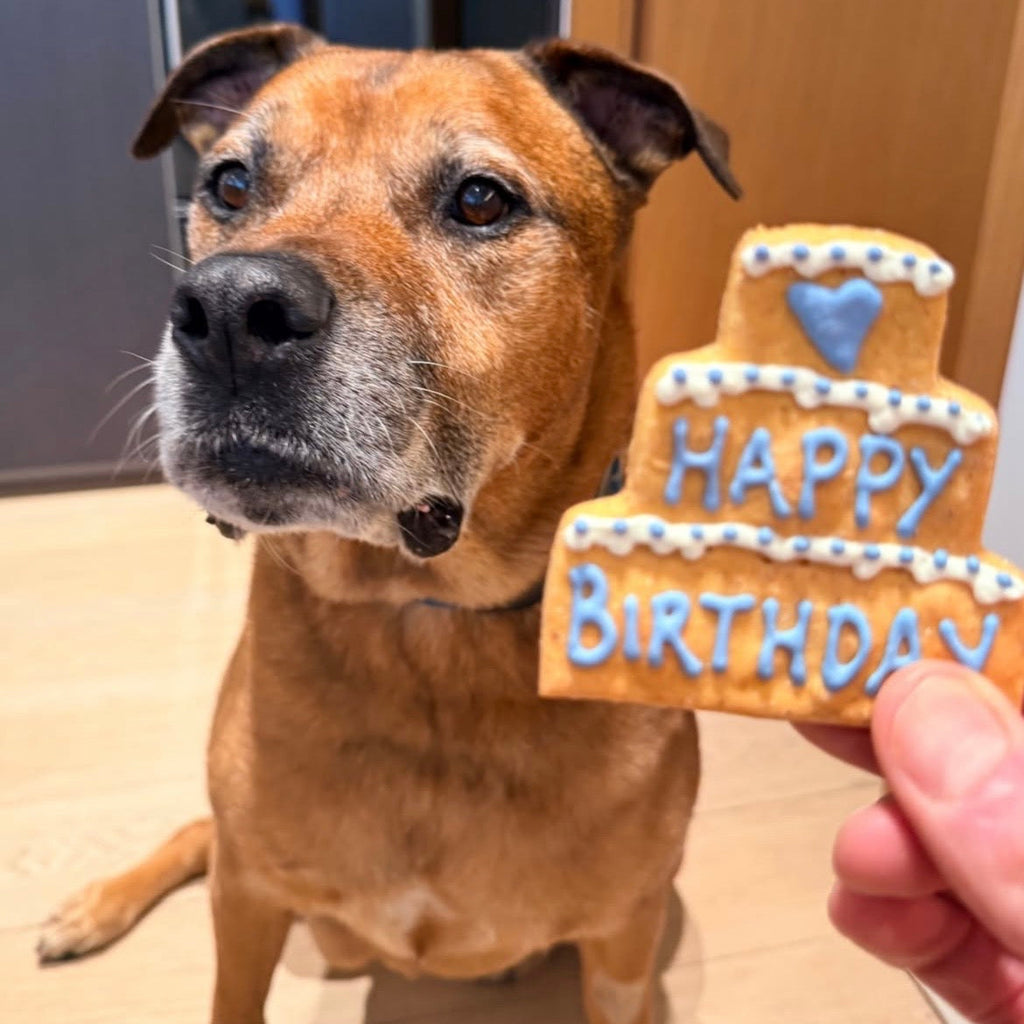 Happy Birthday Three Tier Biscuit for Dogs