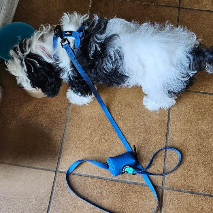 Pawliora Everyday Essential Harness in Navy Blue