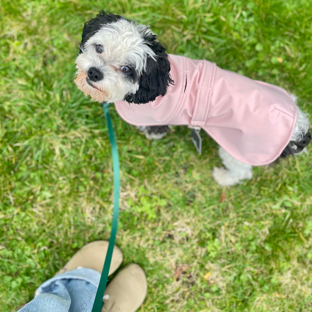 Pawliora Waterproof Coat for Dogs