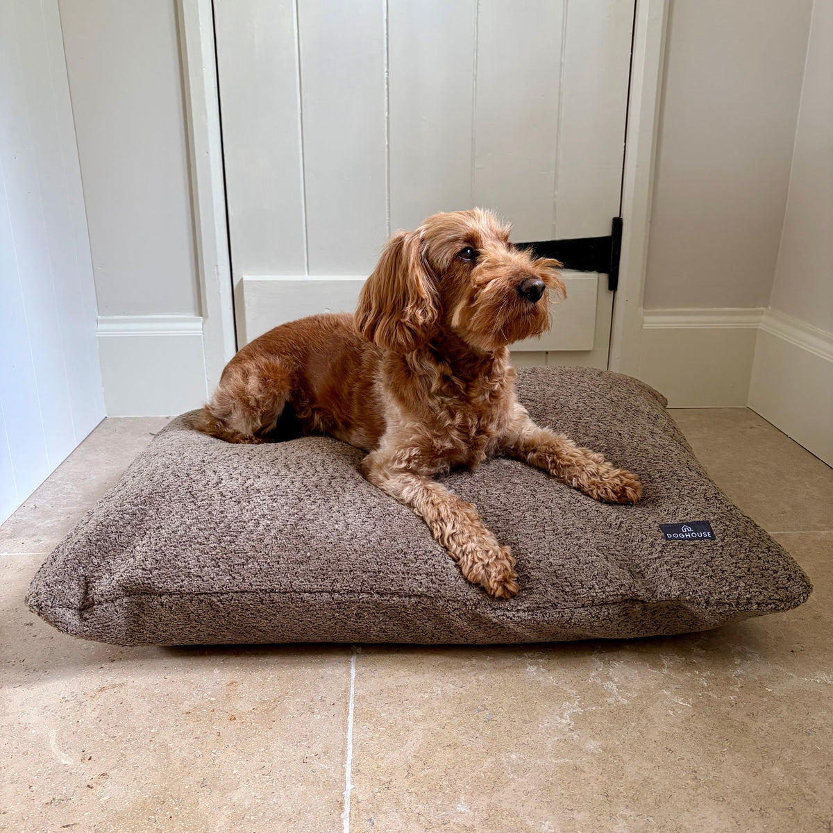 Pawliora Chenille Bed Pad for Dogs