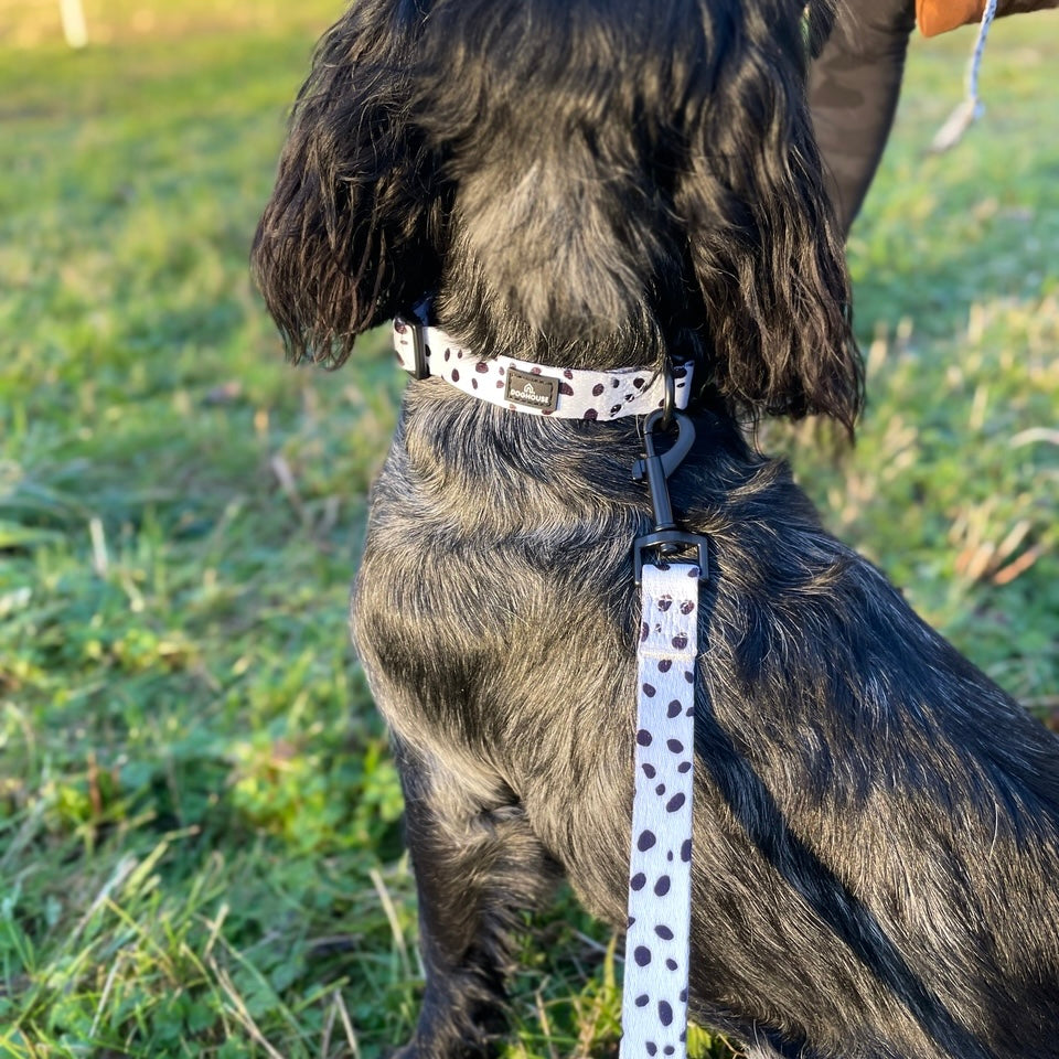 Pawliora Everyday Comfort Dog Collar in Dalmatian Spot