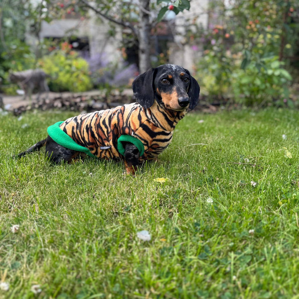 Dachshund Wild Animal Print Fleece Jumper