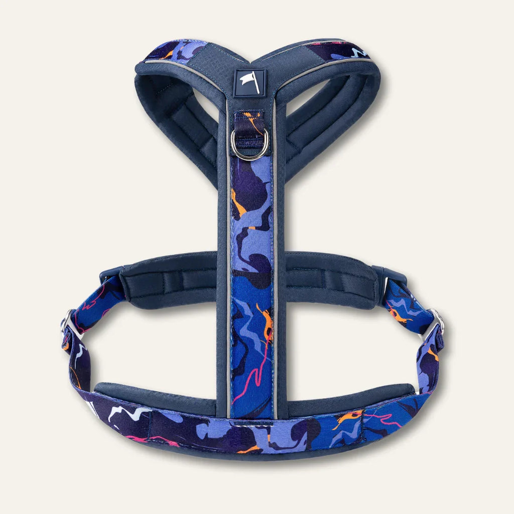 Twiggy Tags Apex Harness in Nebula