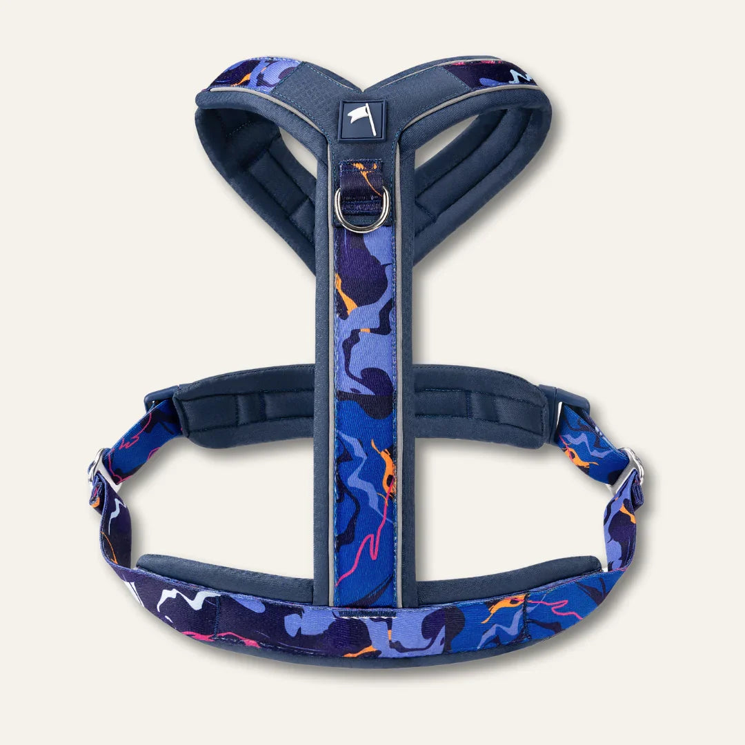 Twiggy Tags Apex Harness in Nebula