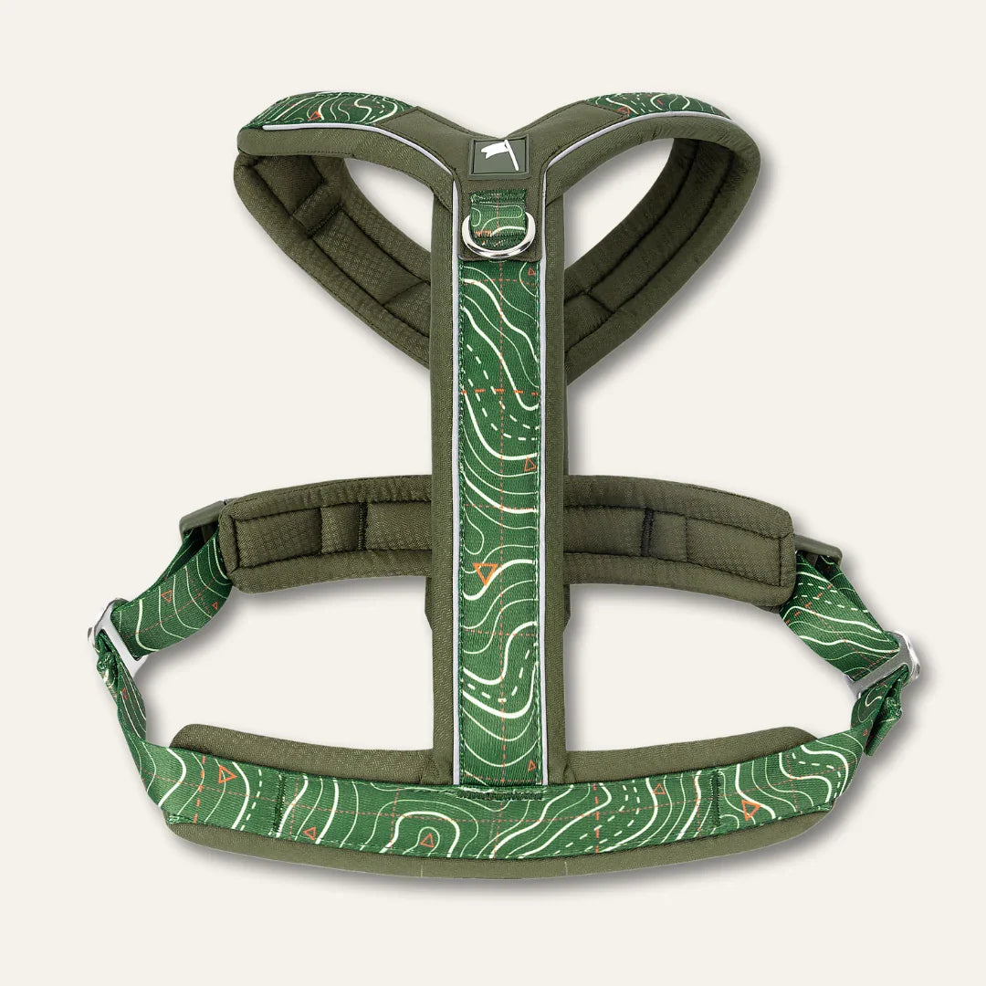 Twiggy Tags Apex Harness in Nomad